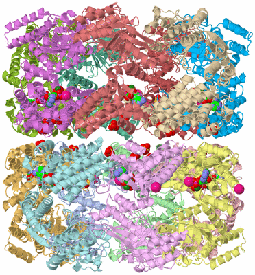 Image Asym./Biol. Unit