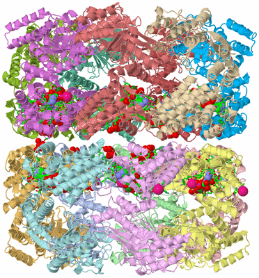 Image Asym./Biol. Unit - sites