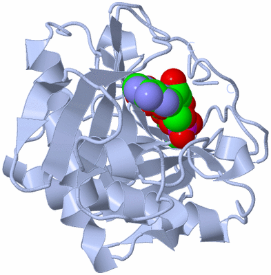 Image Biological Unit 1