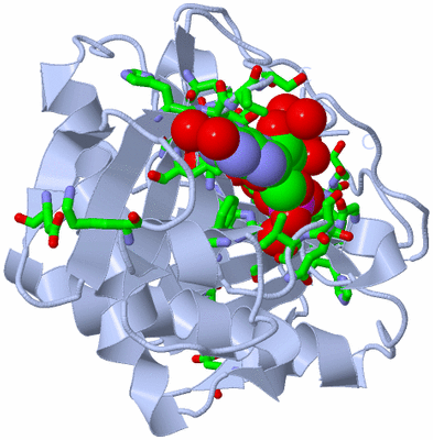 Image Biol. Unit 1 - sites