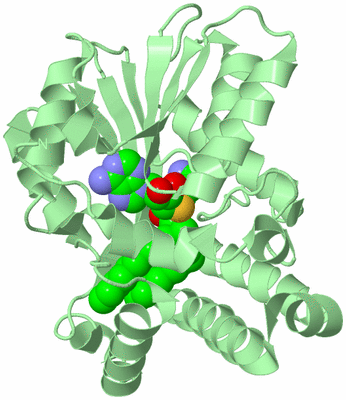 Image Biological Unit 2