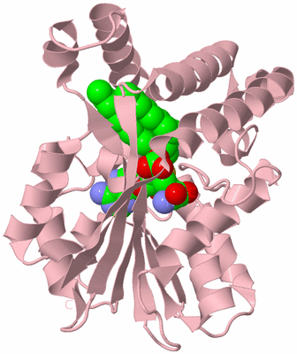 Image Biological Unit 3