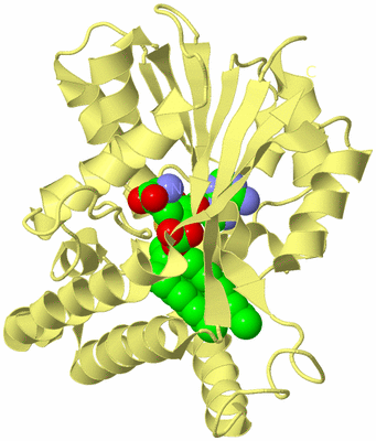 Image Biological Unit 4