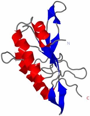 Image NMR Structure - model 1