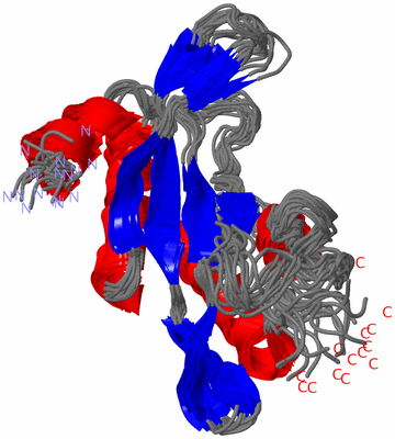 Image NMR Structure - all models