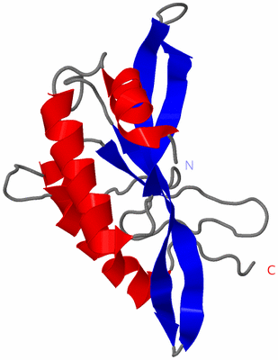 Image NMR Structure - model 1