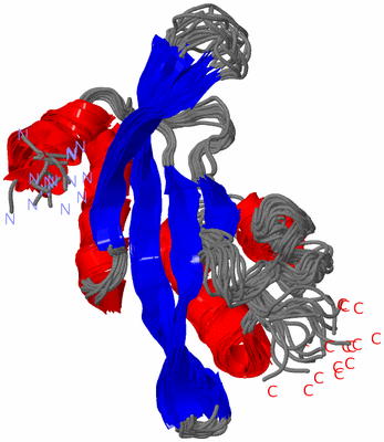 Image NMR Structure - all models