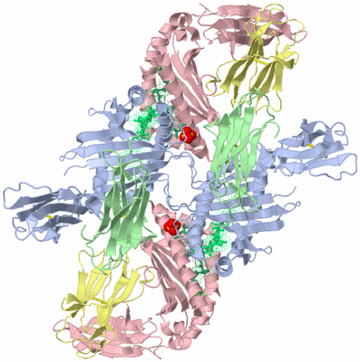 Image Biological Unit 3