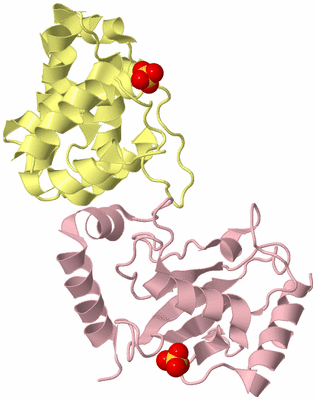 Image Biological Unit 2