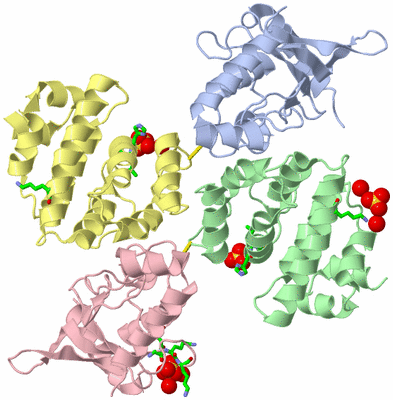 Image Asym. Unit - sites