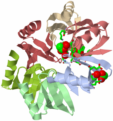 Image Biol. Unit 1 - sites