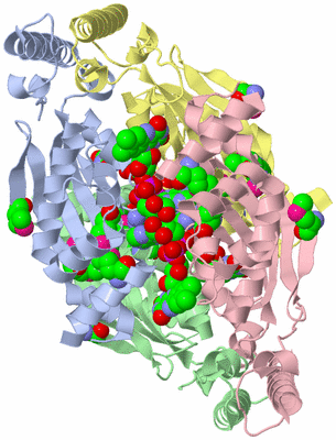 Image Asym./Biol. Unit