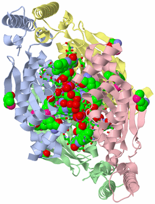 Image Asym./Biol. Unit - sites