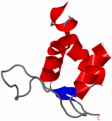 Image NMR Structure - model 1