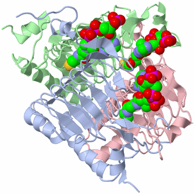 Image Asym./Biol. Unit