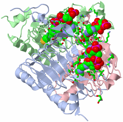 Image Asym./Biol. Unit - sites