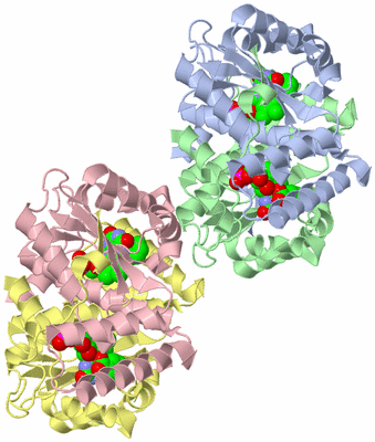 Image Asymmetric Unit