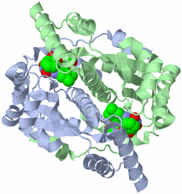 Image Biological Unit 1