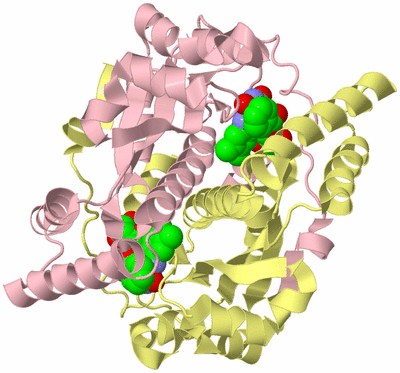 Image Biological Unit 2