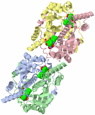 Image Biological Unit 3