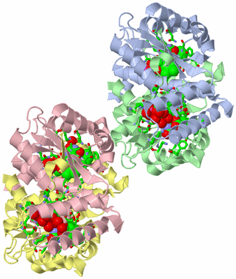 Image Asym. Unit - sites