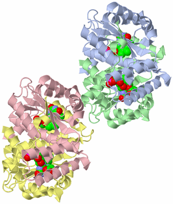 Image Asymmetric Unit
