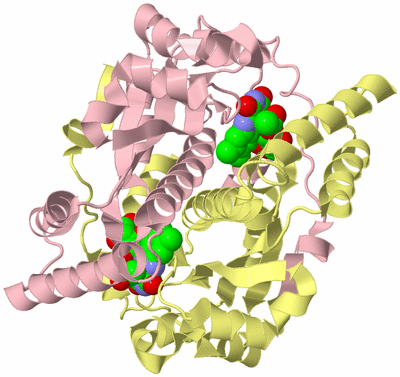Image Biological Unit 2