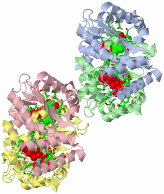 Image Asym. Unit - sites
