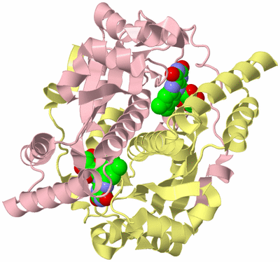 Image Biological Unit 2