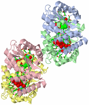 Image Asym. Unit - sites