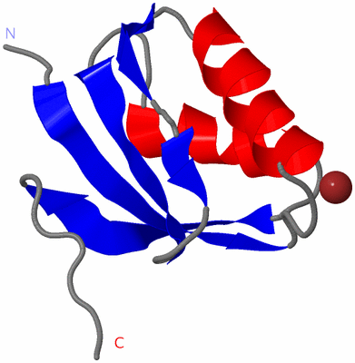 Image NMR Structure - model 1