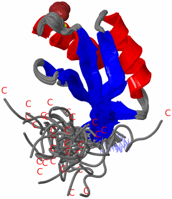 Image NMR Structure - all models