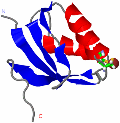 Image NMR Structure - model 1, sites