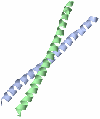 Image Asymmetric Unit