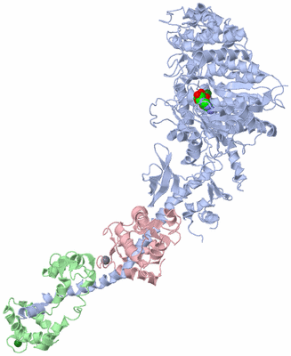 Image Asym./Biol. Unit