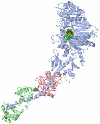 Image Asym./Biol. Unit - sites