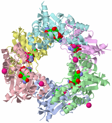 Image Asym./Biol. Unit