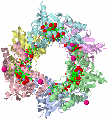 Image Asym./Biol. Unit - sites