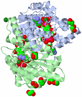 Image Asym./Biol. Unit