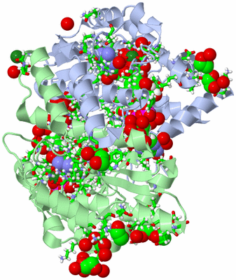 Image Asym./Biol. Unit - sites