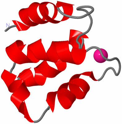 Image NMR Structure - model 1