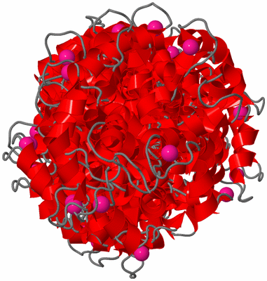 Image NMR Structure - all models