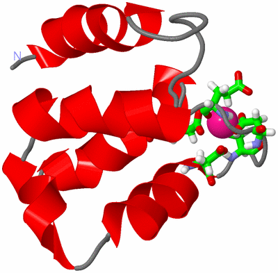 Image NMR Structure - model 1, sites