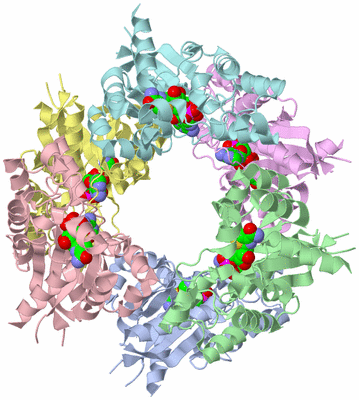 Image Asym./Biol. Unit