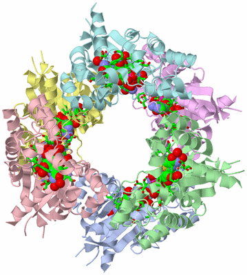 Image Asym./Biol. Unit - sites