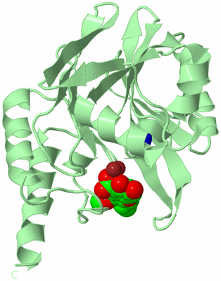 Image Biological Unit 2