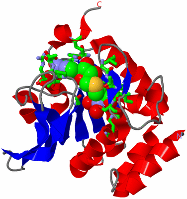 Image Asym./Biol. Unit - sites