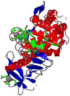 Image Asym./Biol. Unit - sites