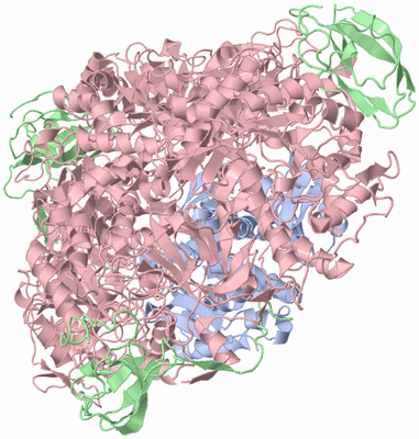 Image Biological Unit 1