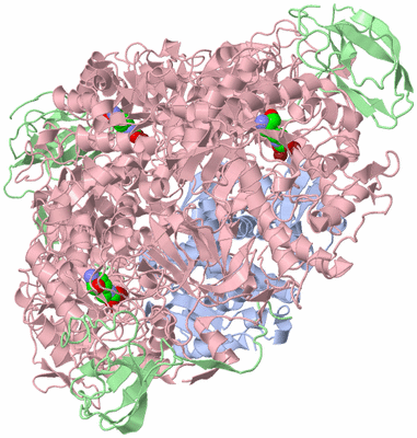 Image Biological Unit 1